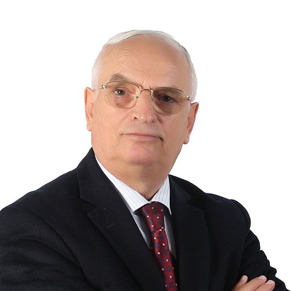 Mustafa Bayraktar, Prof.
