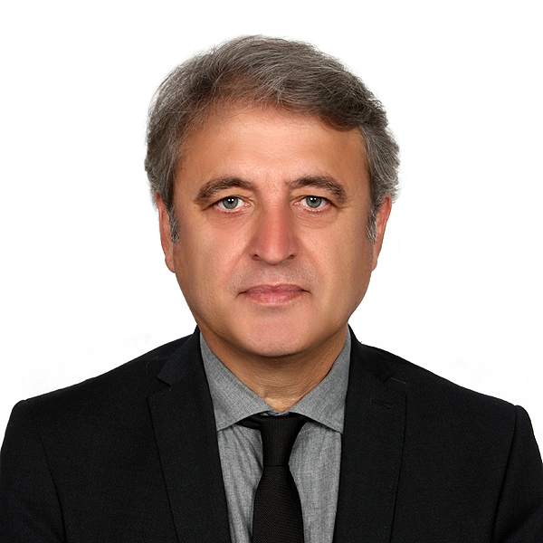 Murat Sezginer, Prof. Dr.