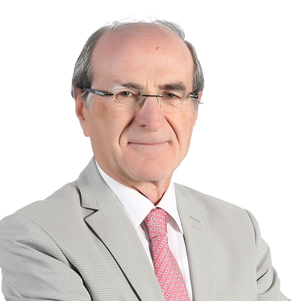 Vedat Özsoy, Prof. Dr.