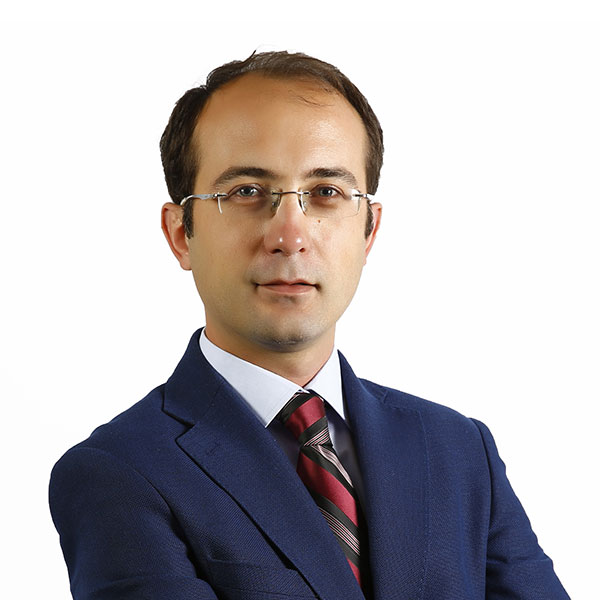 Ali Bozbey, Prof. Dr.
