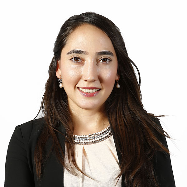 Melis Akdoğan Gündoğdu, Lecturer