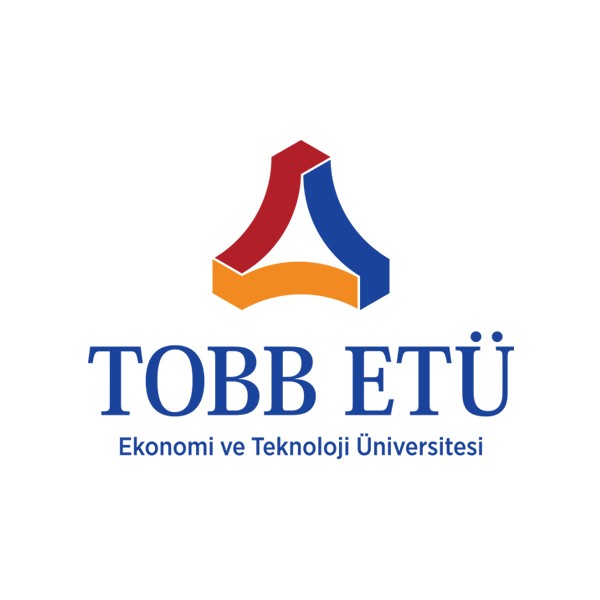 Tayfun Aybek, Prof. Dr.