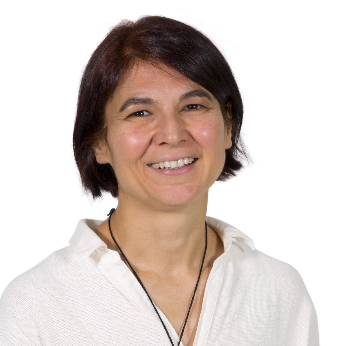 Münire Özlem Çevik, Prof.