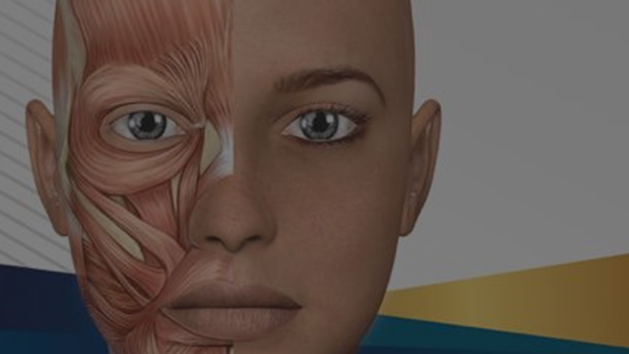 Kadavra ile Yüz Anatomisi ve Dolgu Uygulamaları Çalıştayları 9 Nisan ve 7 Mayıs'ta
