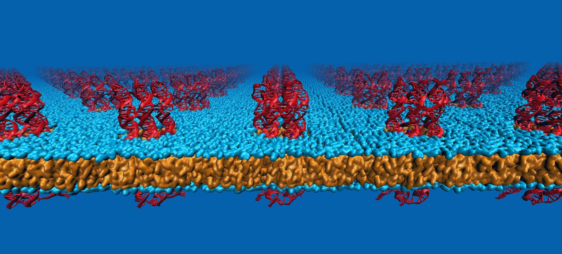 Öğretim Üyemizin Çalışması Nature Communications Dergisinde Yayımlandı