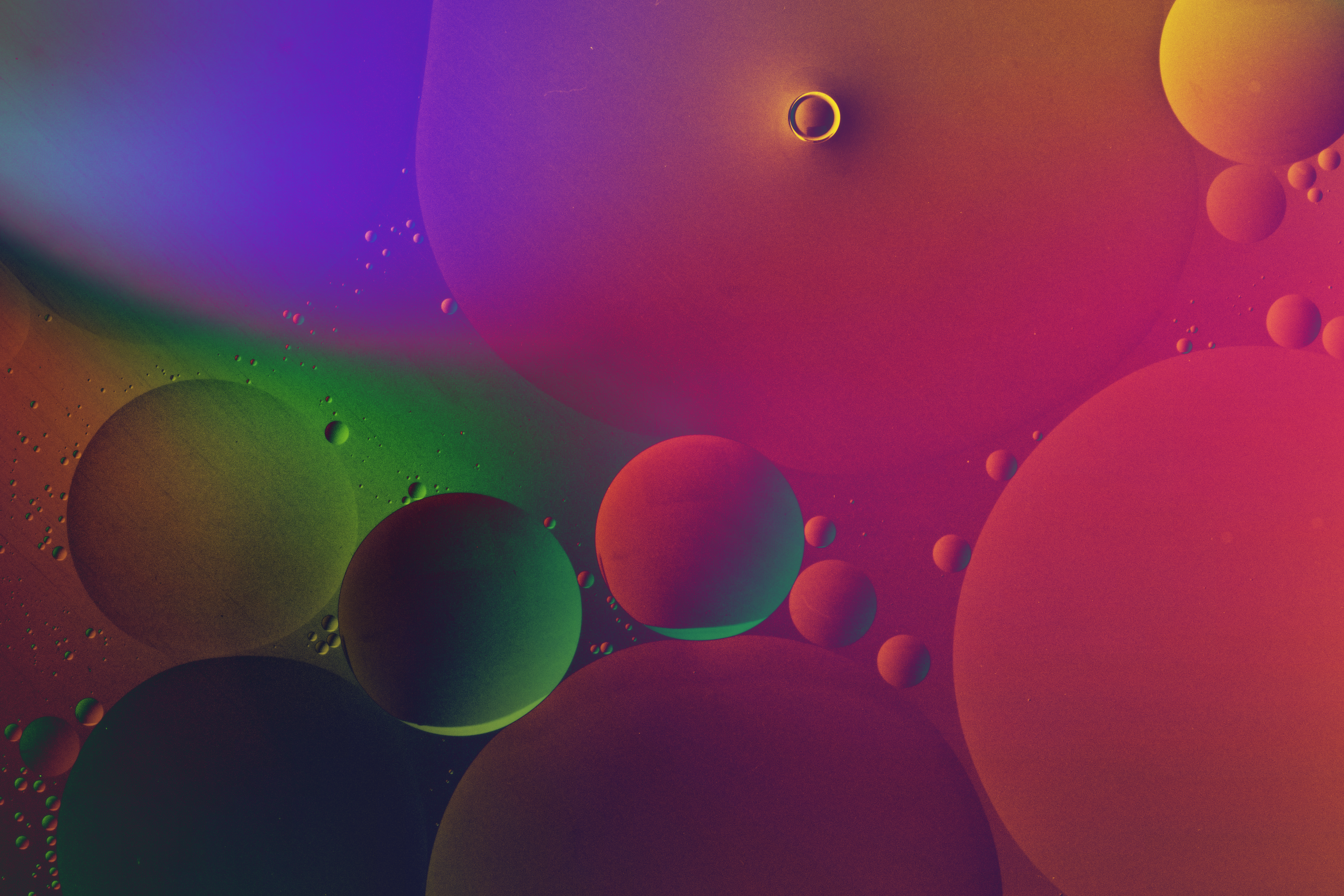 2025-2026 Yaz Dönemi Kabul Duyurusu