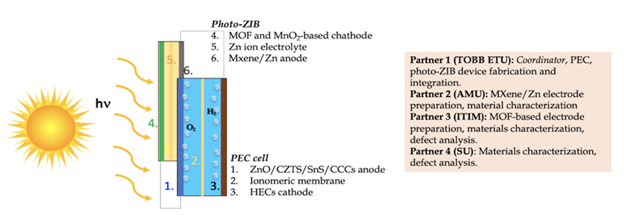 Schematic diagram of the single-cell photo-ZIB/PEC device, and Partners' main responsibilities.