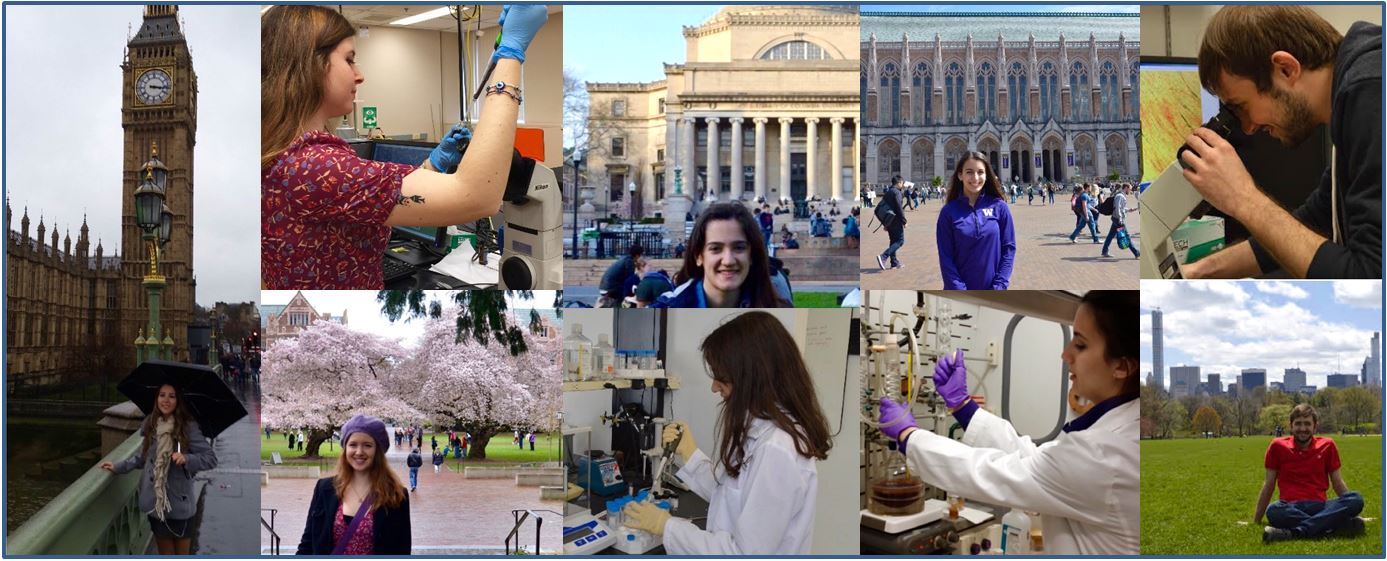 Yurt Dışında Ortak Eğitimlerini Tamamlayan Biyomedikal Mühendisliği Bölümü Öğrencilerimizle Söyleşiler
