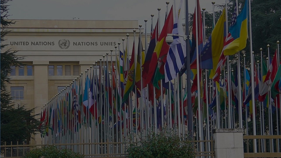 Letter From Our Students: Cooperative Education at UNOG