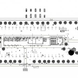 mim 206