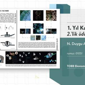 im2021 | 1. Yıl Kategorisi Kazananlar