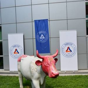 Tıp Fakültesi 2019-2020 Yemin Töreni